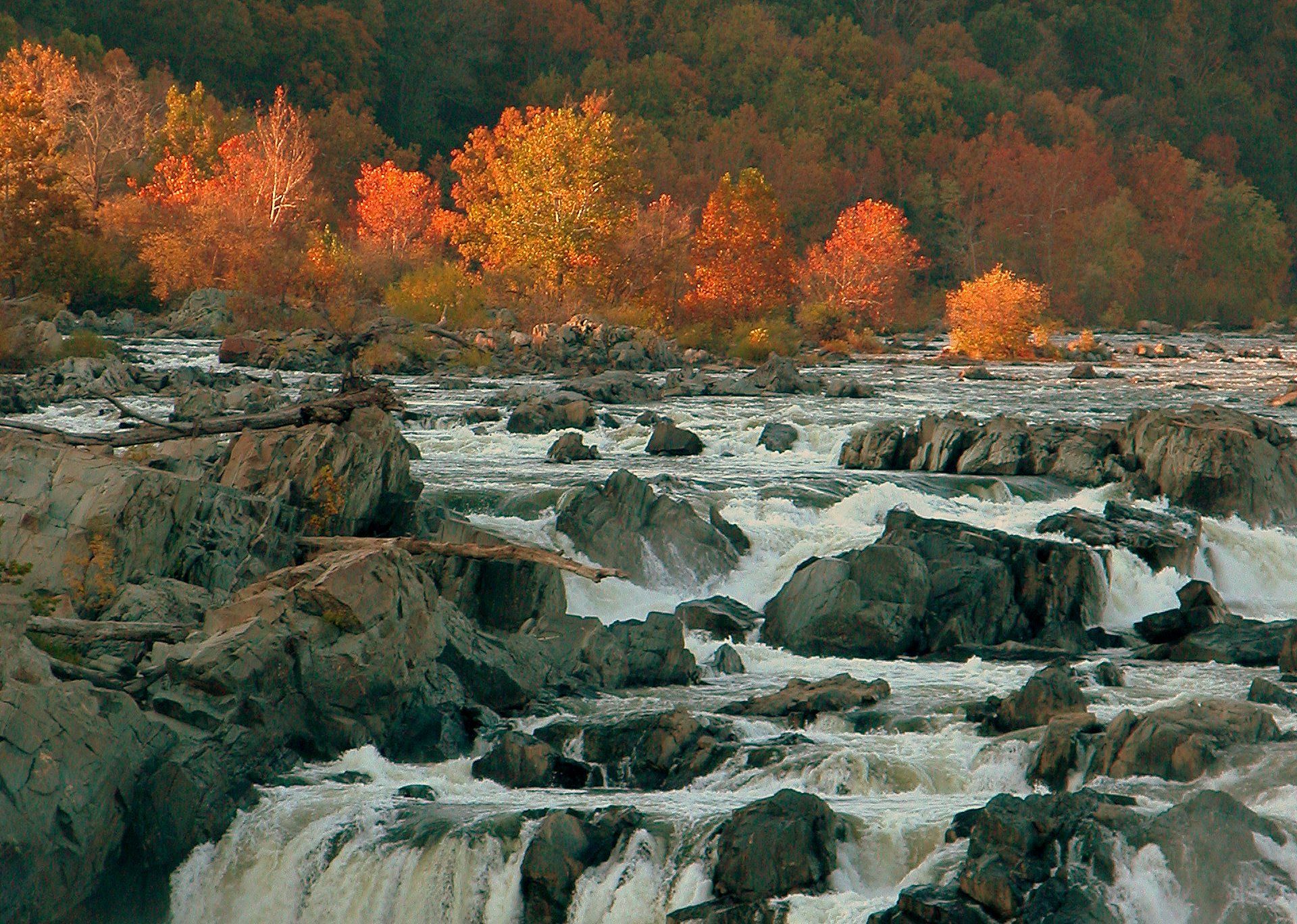 Vườn quốc gia Great Falls Park. Ảnh: Pinterest