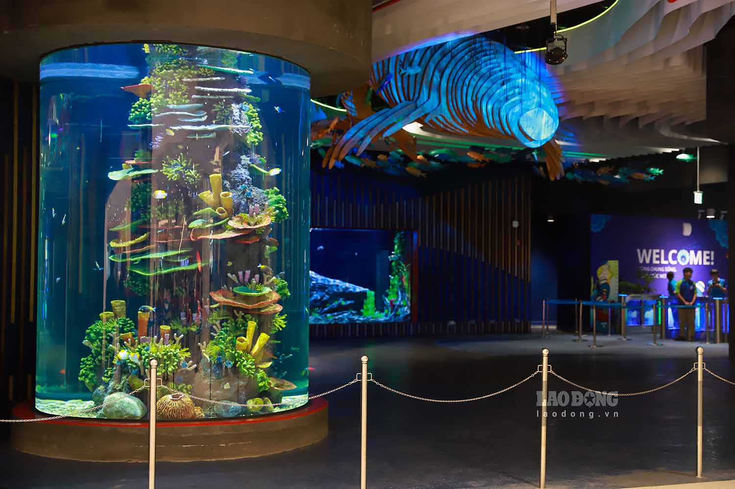 Từ tầng hầm B1 đi vào sẽ là khu vực Thủy cung LOTTE World Aquarium Hanoi. Đây cũng là cơ sở nước ngoài đầu tiên của LOTTE World Aquarium Hàn Quốc. Nơi đây quy tụ 31.000 sinh vật biển thuộc hơn 400 loài, trong đó có cá mập, chim cánh cụt, hải cẩu và sư tử biển.