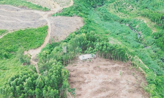 Cơ quan chức năng tỉnh Đắk Lắk vẫn đang chờ Trung ương cho phép chuyển đổi mục đích sử dụng rừng vùng dự án cao tốc Buôn Ma Thuột - Khánh Hòa đi qua. Ảnh: Bảo Trung