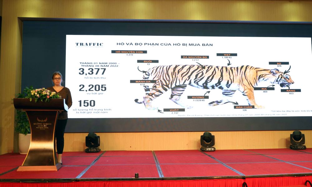 Các đại biểu trình bày về hổ và những bộ phận trên cơ thể hổ bị mua bán. Ảnh: WWF cung cấp