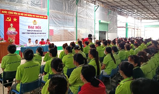  Đoàn viên lao động tham gia Đại hội thành lập Công đoàn cơ sở Công ty TNHH Thương mại Xuất nhập khẩu HV tại xã Xuân Bắc, huyện Xuân Lộc. Ảnh: Hà Anh Chiến

