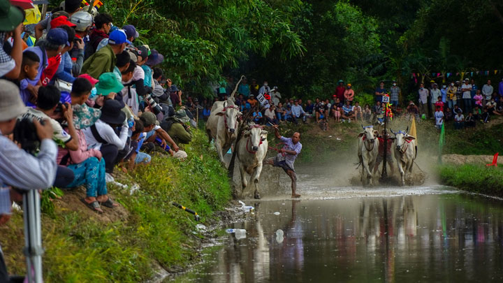Hội đua bò chùa Rô lần thứ IX năm 2023 được tổ chức nhân dịp mừng lễ Sen Dolta của đồng bào dân tộc Khmer. Đây là dịp để các anh em dân tộc Khmer và Kinh cùng vui chơi, thi đấu, tạo nên nét văn hoá độc đáo và gắn kết tình thân với nhau.