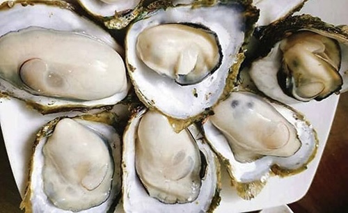 Hàu là thực phẩm giàu Omega - 3 có thể bổ sung vài chế độ ăn để góp phần hạn chế bị khô mắt. Ảnh: Phạm My