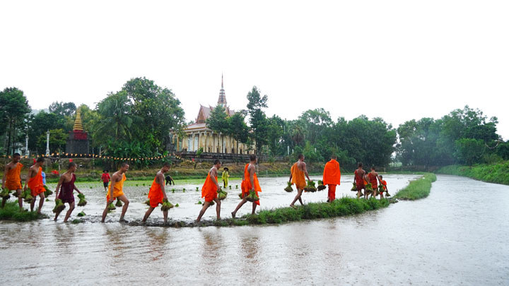 Ghi nhận tại Hội thi, thời tiết không được thuận lợi, trời mưa dầm kéo dài từ trưa tới chiều. Mặc dù vậy, các Sư sãi của chùa cùng người dân vẫn hăng say, tươi cười “đội mưa” lội xuống ruộng thi cấy mạ.