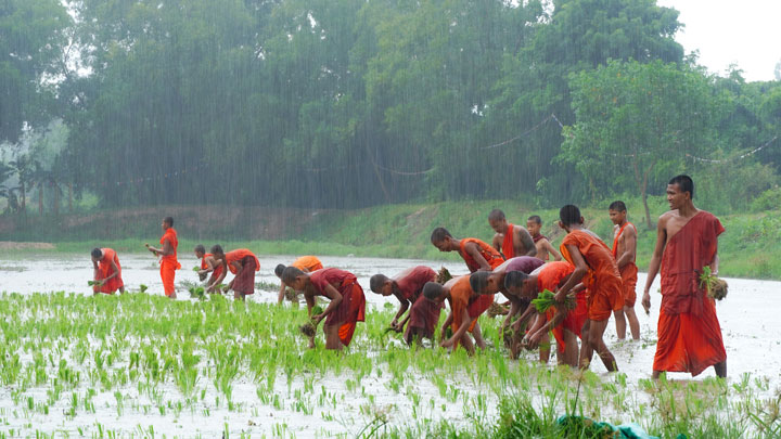 Thông thường, đến tháng 8 âm lịch rơi vào mùa mưa, người nông dân cầu mong mưa thuận gió hoà, cây lúa tốt tươi mang đến một mùa bội thu cho họ.