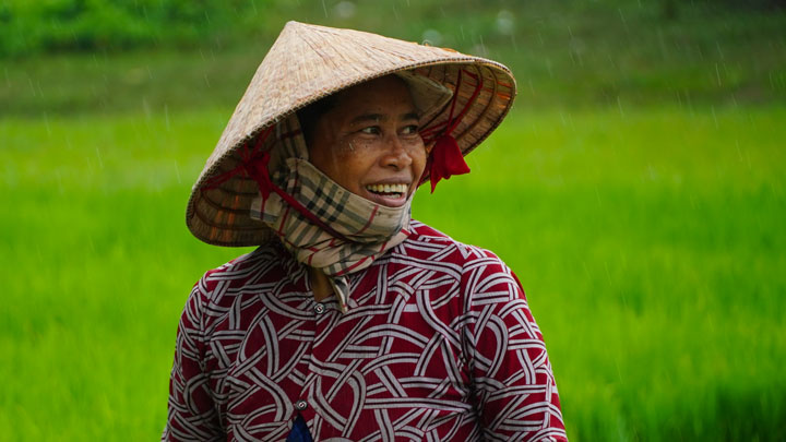 Ghi nhận tại ngày hội, thời tiết không được thuận lợi, trời mưa dầm kéo dài từ trưa tới chiều muộn. Mặc dù vậy, các Sư sãi cùng người dân vẫn hăng hái, tươi cười “đội mưa” lội xuống ruộng thi cấy mạ.