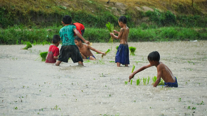 Theo đó, lễ hội Sen Đôlta của người Khmer Nam bộ có mối quan hệ mật thiết với chu kì của nghề nông nghiệp lúa nước một vụ trong năm. Bắt đầu khoảng tháng 4 âm lịch là gieo hạt, đến tháng 8 âm lịch sẽ cấy mạ, tháng 10 âm lịch thì gặt lúa về nhà.