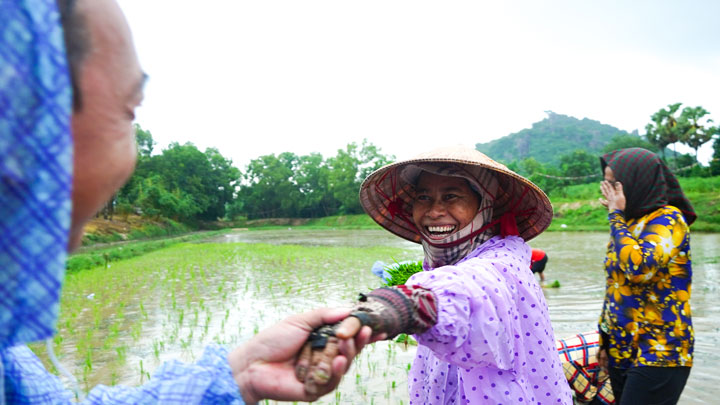 Phía trên bờ, người dân và du khách hò reo, cổ vũ, tạo không khí vui tươi, hào hứng, đoàn kết dân tộc trong ngày hội. Bên cạnh đó, Ban Tổ chức cũng chuẩn bị bánh mì mời những người tham gia thi cấy ăn, ai cũng nở những nụ cười thật tươi khi đón nhận.