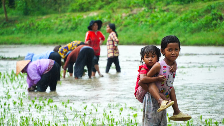 Đây cũng là một trong những lễ hội được người dân trên địa bàn mong chờ, với sự liên kết tâm linh và đời sống văn hóa gắn với lao động sản xuất nông nghiệp.