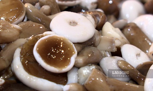 Nấm tràm là món ăn ngon, độc đáo của đảo ngọc Phú Quốc. Ảnh: Nguyên Anh