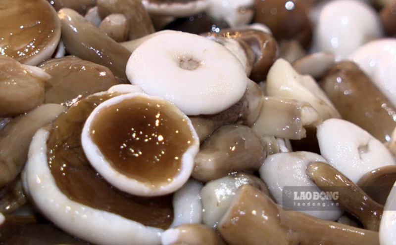 Nấm tràm là món ăn ngon, độc đáo của đảo ngọc Phú Quốc. Ảnh: Nguyên Anh