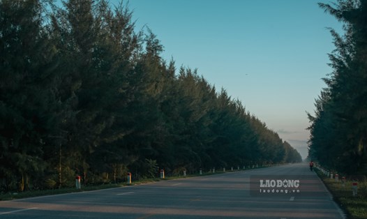 Ngắm con đường view đẹp tựa Đà Lạt liên kết Hải Dương - Thái Bình. Ảnh: Nguyễn Trọng Cung