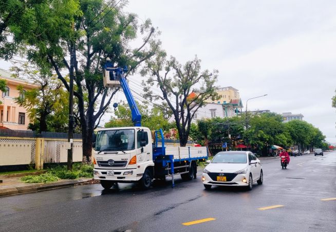 Nhiều đơn vị tại Quảng Nam tích cực thực hiện cắt tỉa cành, chằng chống cây tránh ngã đổ để hạn chế thiệt hại trong mùa mưa bão. Ảnh Hoàng Bin.