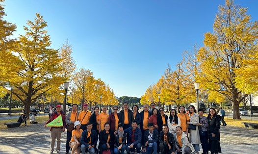 Du khách tham quan Nhật Bản, ngắm cây thay lá mùa thu. Ảnh: Tư liệu