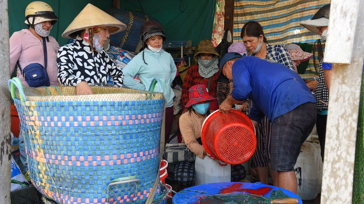 Còn tại chợ Vĩnh Hội Đông (huyện An Phú), cách biên giới Campuchia hơn 1km, người dân chạy vỏ lãi chở tôm, cá, cua, ốc từ Campuchia sang chợ bán. Bên cạnh đó, người dân địa phương cũng mang sản vật đánh bắt được trên đồng đến vựa để bán. Sau đó chủ vựa phân phối cho bạn hàng chở đi các chợ ở khắp các tỉnh, thành.