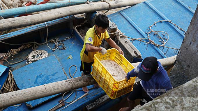 Giá xăng dầu tăng, thủy hải sản giảm, những tàu khai thác gần bờ ở Vĩnh Hải (Vĩnh Châu, Sóc Trăng) gặp khó. Ảnh: Phương Anh