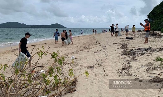 Khách du lịch tham gia vệ sinh môi trường bãi biển tại huyện Cô Tô. Ảnh: Đoàn Hưng