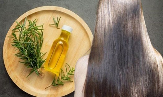 Có tính chống viêm và kháng khuẩn, dầu hương thảo là lựa chọn tốt cho những người gặp các vấn đề về da đầu như ngứa và bong tróc. Đồ họa: Ngọc Thùy