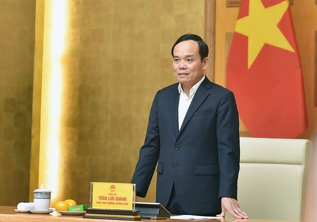 Phó Thủ tướng Trần Lưu Quang phát biểu tại buổi gặp. Ảnh: VGP