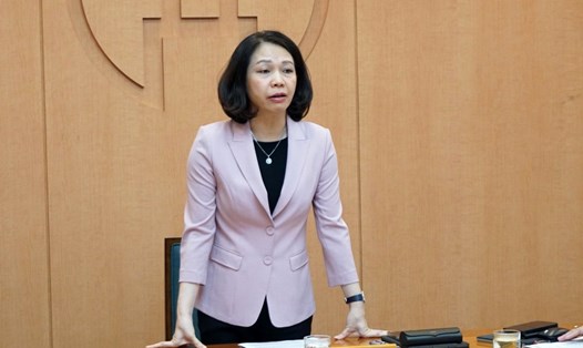 Phó Chủ tịch UBND TP Hà Nội Vũ Thu Hà, yêu cầu xử lý các trường hợp vi phạm quy định về phòng, chống sốt xuất huyết. Ảnh: Hanoi.gov