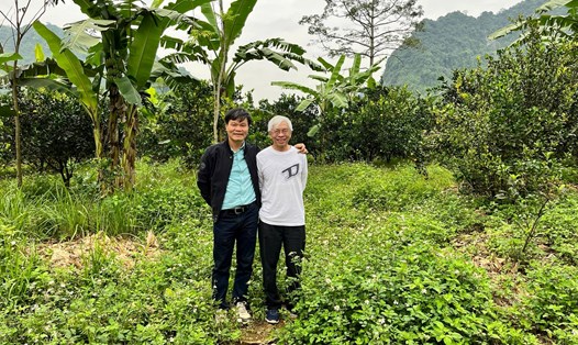 Ông Nguyễn Huyền Diệu cùng khách tham quan tại vườn cam HD theo mô hình nông nghiệp hữu cơ. Ảnh: NVCC