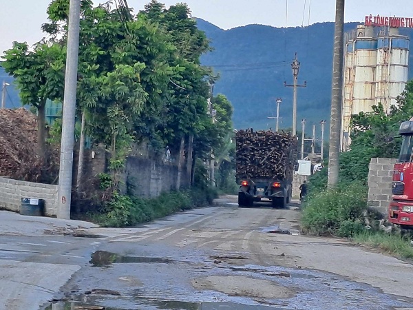 Xe cơi nới thành thùng chở gỗ trên tỉnh lộ 261 tiền ần nguy cơ an toàn giao thông. Ảnh: Minh Hạnh 