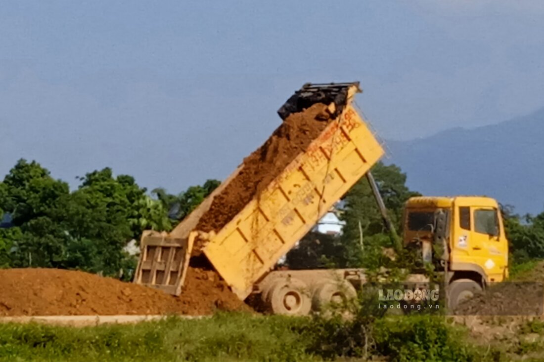 Thậm chí, đến chiều ngày 2.10, hàng đoàn xe tải vẫn ngang nhiên chở đất từ xóm Sính, xã Tinh Nhuệ vào dự án đường nêu trên, đoạn qua khu 8, xã Lương Nha (huyện Thanh Sơn). Ảnh: Tô Công.