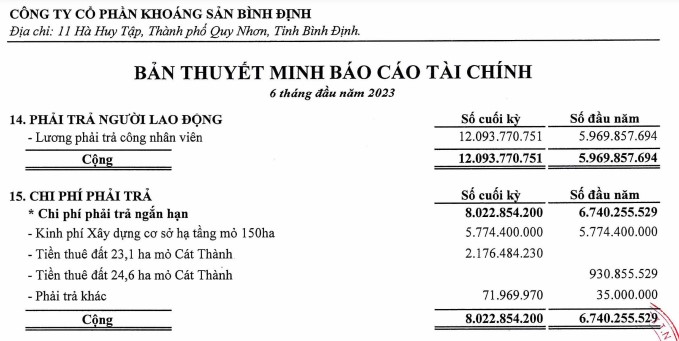 Khoáng sản Bình Định nợ người lao động hơn 12 tỉ đồng. Ảnh: Chụp báo cáo tài chính doanh nghiệp.