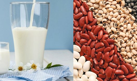 Các loại sữa hoặc hạt chứa nhiều axit folic tốt cho mẹ bầu. Ảnh: Hương Sơn