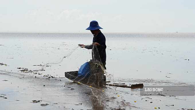 Ngư dân Mỏ Ó dùng ván làm phương tiện di chuyển trên bùn lầy để đánh bắt cá tôm. Ảnh: Phương Anh