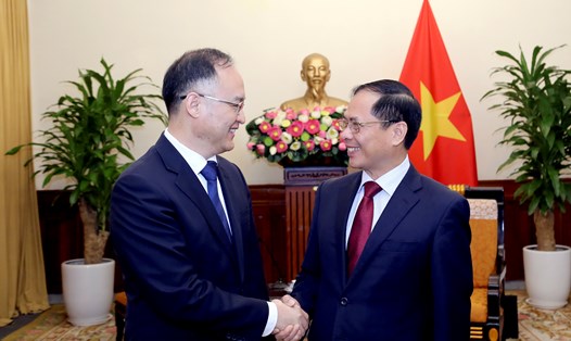 Bộ trưởng Ngoại giao Bùi Thanh Sơn tiếp Trợ lý Bộ trưởng Ngoại giao Trung Quốc Nông Dung. Ảnh: Bộ Ngoại giao 