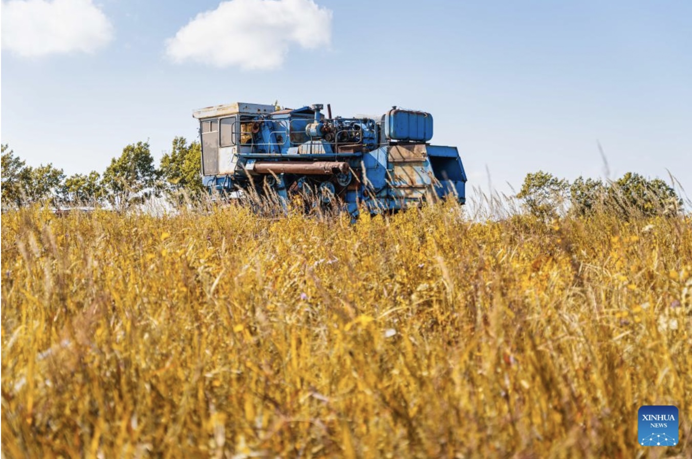 Nga giảm xuất khẩu thực phẩm sang các nước không thân thiện