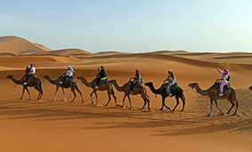 Nhiều khác nước ngoài phấn khích khi được cưỡi lạc đà bên trên sa mạc lớn nhất thế giới.
