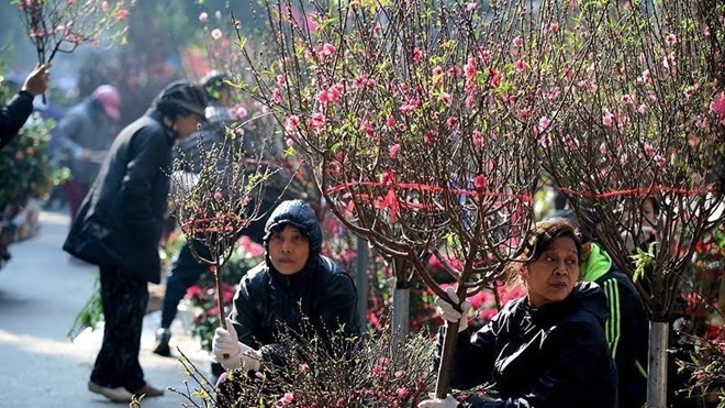 Quy định linh hoạt lịch nghỉ Tết Nguyên đán 2024