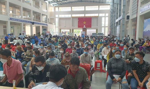 Số người nhận BHTN trên địa bàn tỉnh Đồng Tháp hiện gần 10.000 người. Ảnh: Sở LĐTB&XH cung cấp. 
