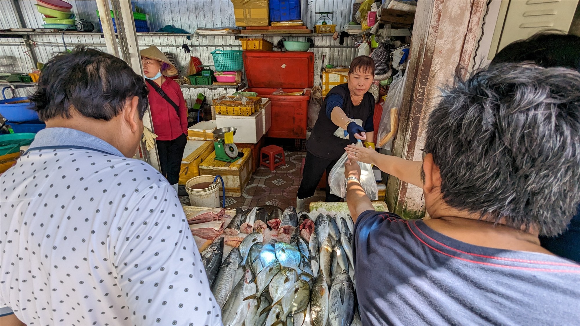 Từ TPHCM đến chợ Xóm Lưới mua hải sản, anh Nguyễn Văn Tùng cho biết, đây luôn là địa điểm anh lựa chọn mua hải sản mỗi dịp lễ khi đến Vũng Tàu, bởi nơi đây hải sản tươi mà giá phải chăng.