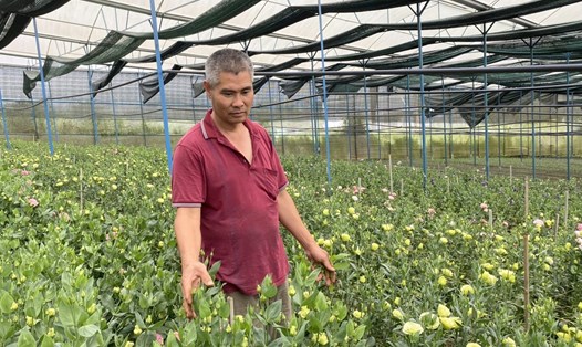 Trong năm 2022, diện tích gieo trồng hoa tươi của thành phố Đà Lạt đạt 5.926ha. Ảnh: Lê Sơn
