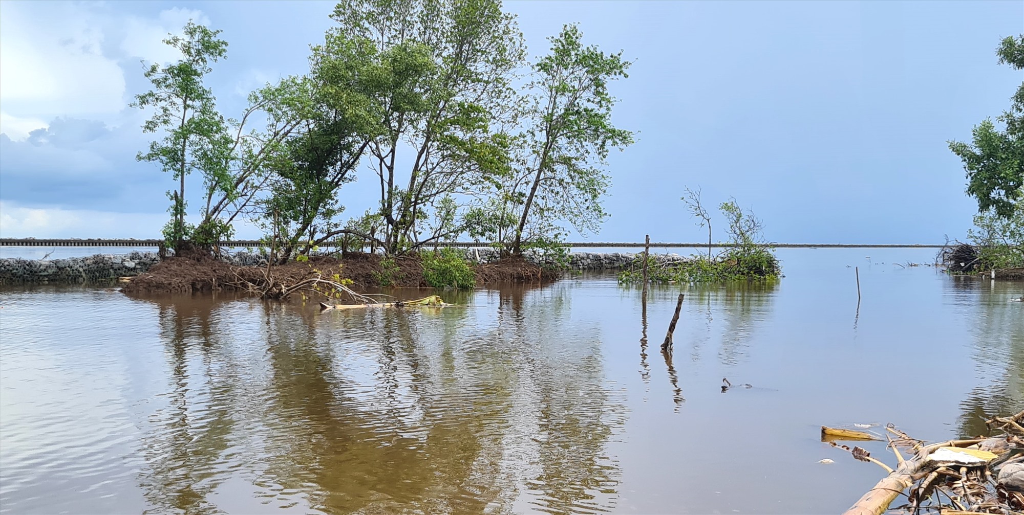 Bằng giải pháp xây kè chắn sóng gây bồi, tạo bãi tỉnh Cà Mau kỳ vọng cây rừng tự nhiên sẽ mọc lên ven biển. Ảnh: Nhật Hồ