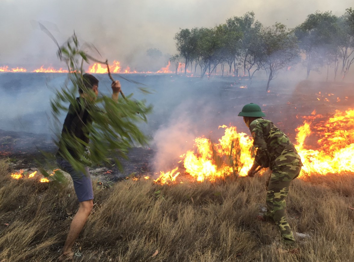 Lực lượng chữa cháy có các phương tiện hiện đại thì dập lửa ở những nơi nghiêm trọng. Còn người dân và các lực lượng khác dùng các dụng cụ thô sơ thì ngăn ngọn lửa lan rộng ở các khu vực đồng cỏ.