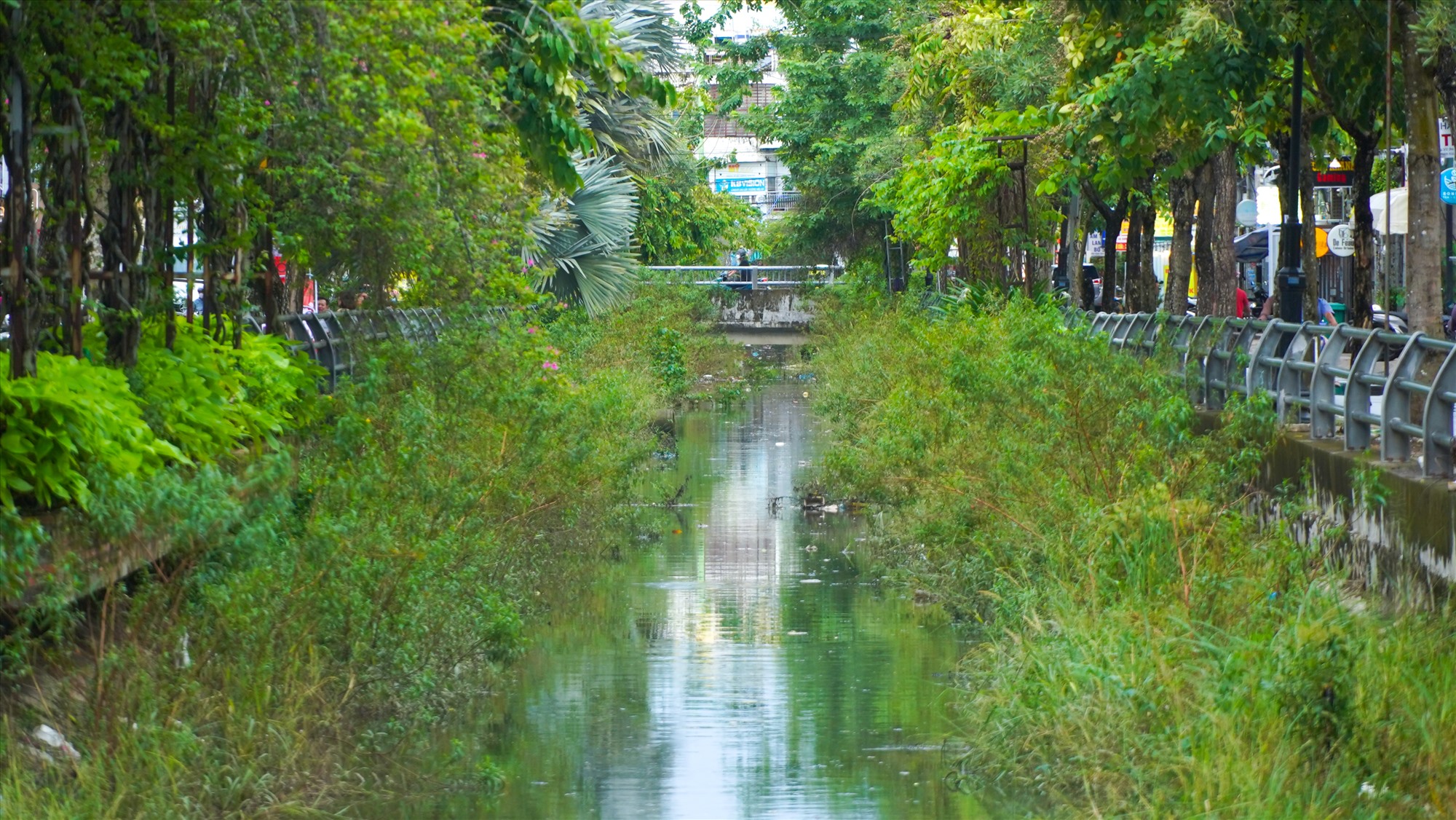 Nhưng hiện nay, các kênh, rạch, hồ trên địa bàn TP Cần Thơ đang bị ô nhiễm, ảnh hưởng tiêu cực đến đời sống của người dân cũng như sự phát triển du lịch của thành phố.