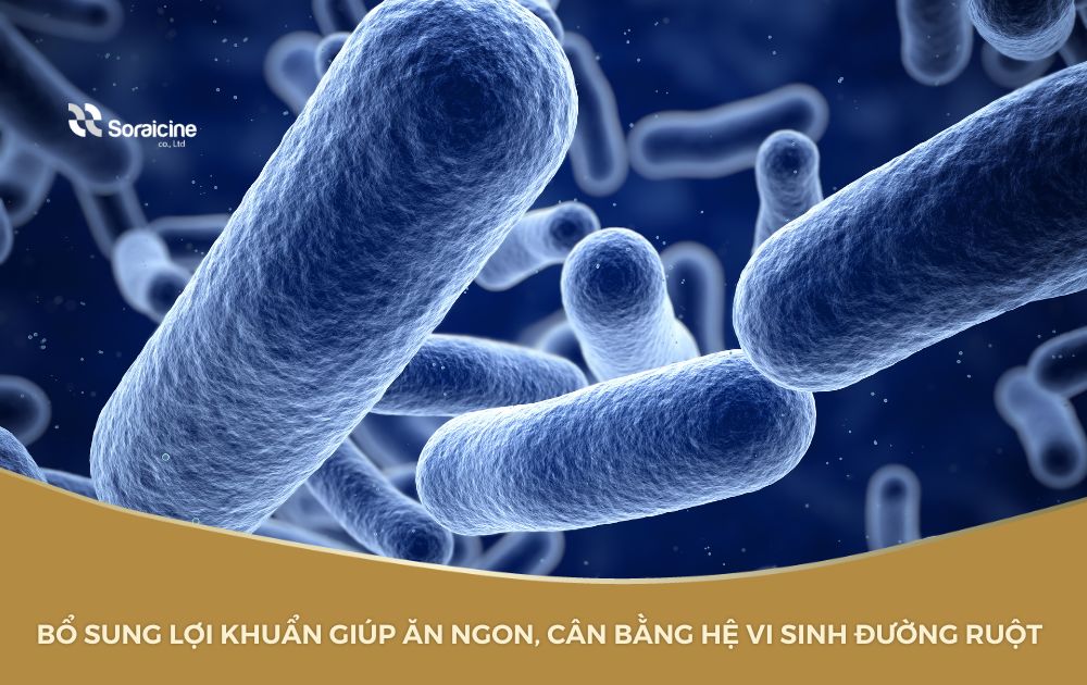 Bổ sung lợi khuẩn giúp ăn ngon, cân bằng hệ vi sinh đường ruột. Ảnh: Soraicine