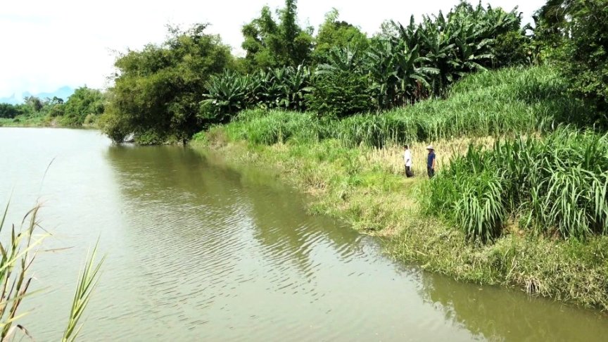 Vào mùa mưa lũ, nhiều diện tích đất nông nghiệp của người dân ở xã Bình Minh, nằm dọc hai bên sông Trà Bồng bị nước lũ cuốn trôi. Ảnh: Ngọc Viên