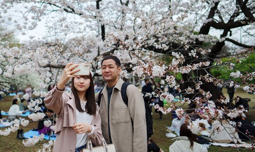 Một cặp đôi chụp ảnh ở công viên Yoyogi, Tokyo, Nhật Bản. Ảnh minh họa. Ảnh: Xinhua