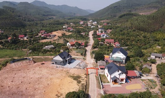 Khu vực dự kiến triển khai Dự án Khu công viên nghĩa trang sinh thái xã Đông Hưng, huyện Lục Nam, có tổng diện tích khoảng 150.48ha. Ảnh: Vân Trường
