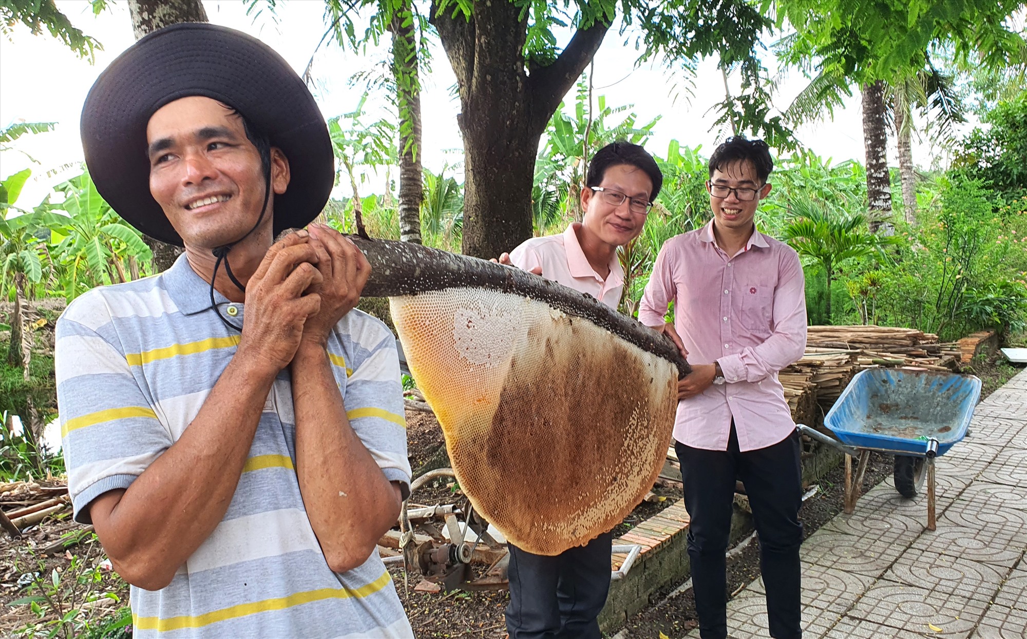 Du lịch sinh thái, vào rừng U Minh Hạ Cà Mau cùng ăn ong với chủ rừng hấp dẫn du khách. Ảnh: Nhật Hồ