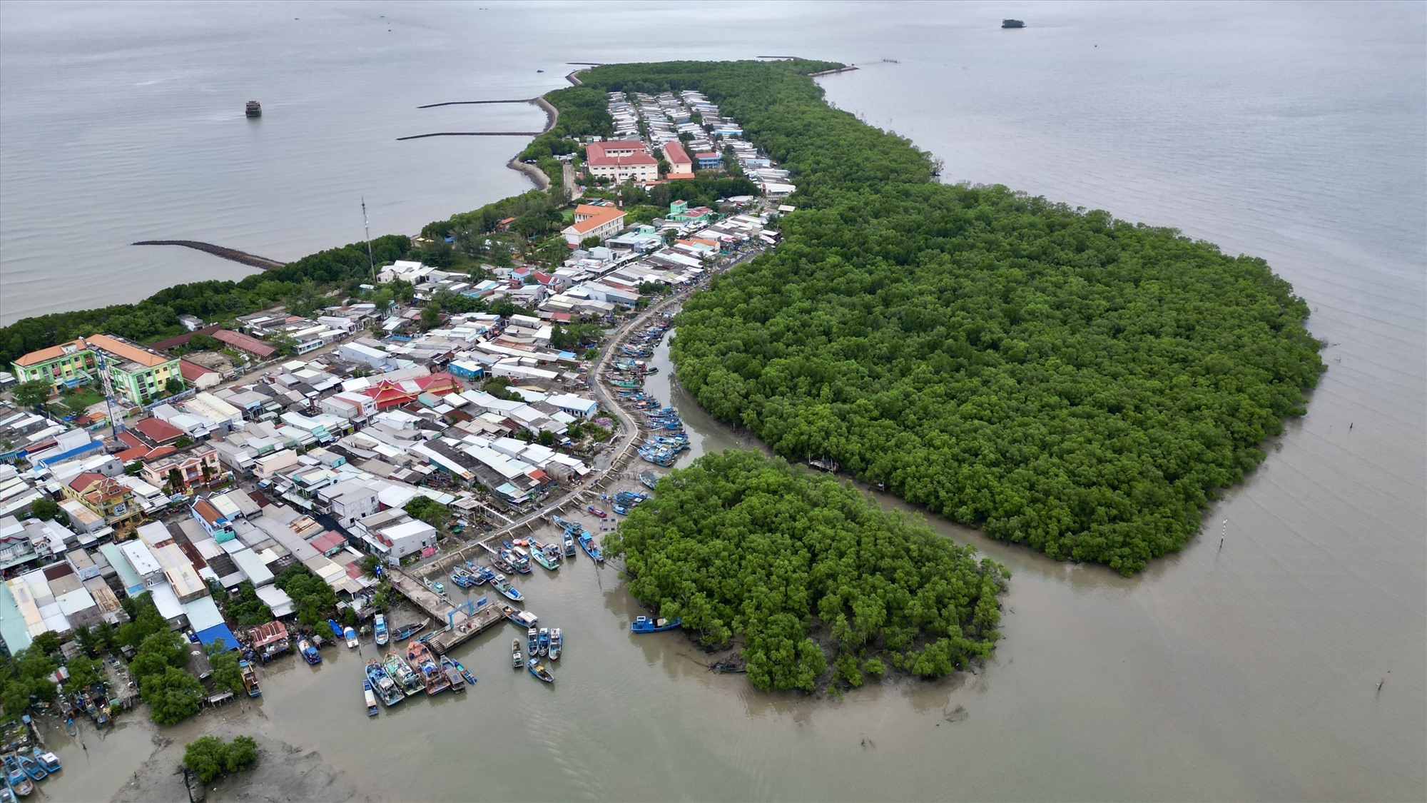 Đảo được bao bọc bởi rừng phòng hộ, với diện tích rộng hơn 13.000 ha (18% diện tích Cần Giờ), có hơn 1.130 hộ với khoảng 4.500 người.