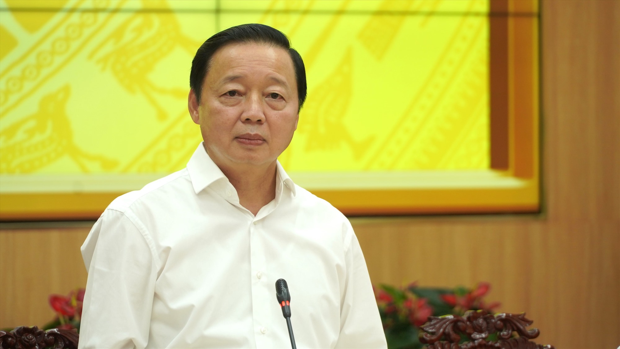 Phó Thủ tướng Trần Hồng Hà phát biểu tại buổi làm việc. Ảnh: Tạ Quang
