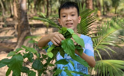 Em Đào Khương Duy, học sinh lớp 7/1 Trường THCS Huỳnh Tấn Phát, huyện Bình Đại, tỉnh Bến Tre. Ảnh: TTXVN