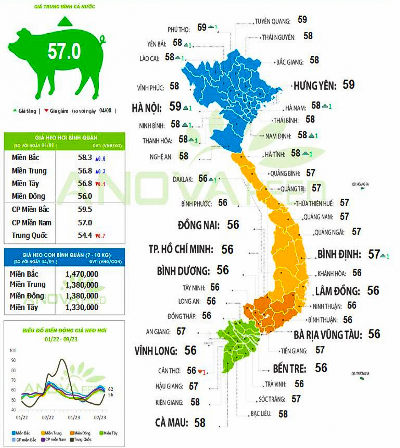 Giá lợn hơi trên cả nước ngày 6.9.2023. Nguồn: Anova Feed