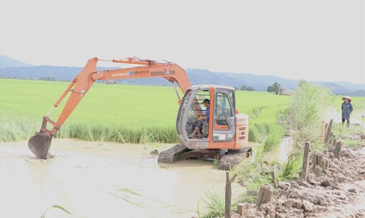 Mưa lũ nhấn chìm lúa nước của người dân huyện Lắk, tỉnh Đắk Lắk. Ảnh: Bảo Trung